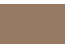 Little Greene Flight Pink No. 354 Paint