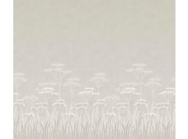 Achillea - Brume