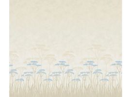 Achillea - Dew