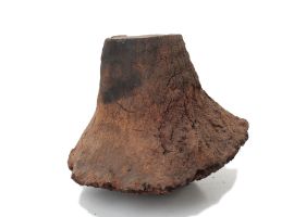 Grass Tree Root 200mm x 100mm x 225mm