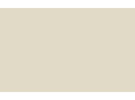 Little Greene Greenstone Light No. 269 Paint