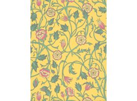 May's Tulip - Indian Yellow