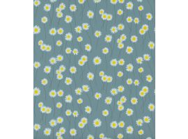 Moon Daisies - Etruria