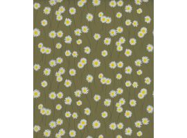 Moon Daisies - Olive Colour