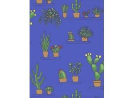 Mr Straw's Greenhouse - Mambo