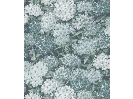 Rhododendron Walk - Hicks Blue