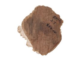 Rib Fruited Mallee Goldfield Burr 215mm x 200mm x 110mm