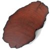 Sheoak Slice Medium
