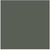 Pompeian Ash