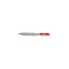 Japanese Saw Rasp