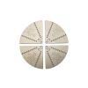 Nova 10" Cole Jaws