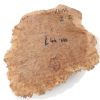 Rib Fruited Mallee Goldfield Burr 230mm x 260mm x  65mm