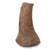 Grass Tree Root 320mm x 80mm x 200mm