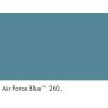 Air Force Blue