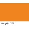 Marigold