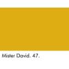 Mister David