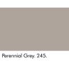 Perennial Grey