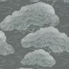 Pines - Silver Pine