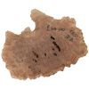Rib Fruited Mallee Goldfield Burr 235mm x 270mm x 85mm