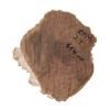 Rib Fruited Mallee Goldfield Burr 215mm x 200mm x 110mm