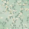 Sakura - Aqua Lustre