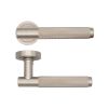 Deanta Sparta Satin Nickel Feature Handle Pack