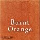 Hampshire Sheen Intrinsic Colour Wood Dyes Burnt Orange 125ml