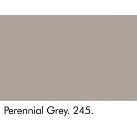 Perennial Grey