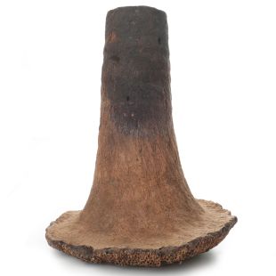 Grass Tree Root 390mm x 95mm x 260mm