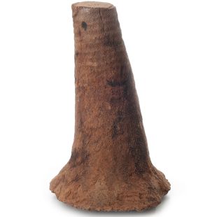Grass Tree Root 340mm x 70mm x 240mm
