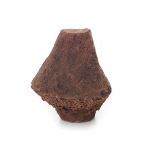Grass Tree Root 160mm x 55mm x 150mm