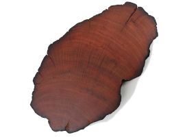 Sheoak Slice Medium