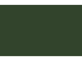Dark Brunswick Green