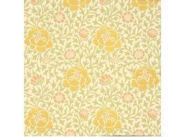 Lansdowne Walk-Pollen