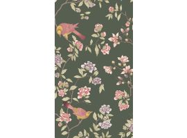 Aderyn-Olive Colour