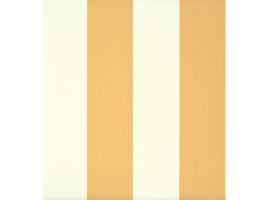 Broad Stripe - Yellow Pink