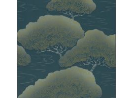 Pines - Blue Pine