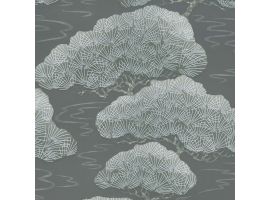 Pines - Silver Pine