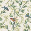 Great Ormond St. - Tropical