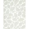 Beech Nut-Warm Grey