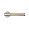 Deanta-Sparta Satin Nickel Handle