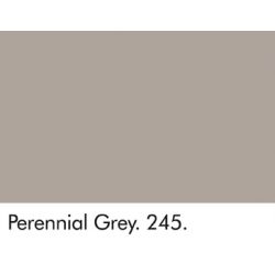 Perennial Grey