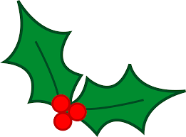 holly